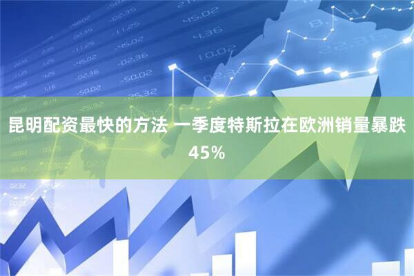 昆明配资最快的方法 一季度特斯拉在欧洲销量暴跌45%