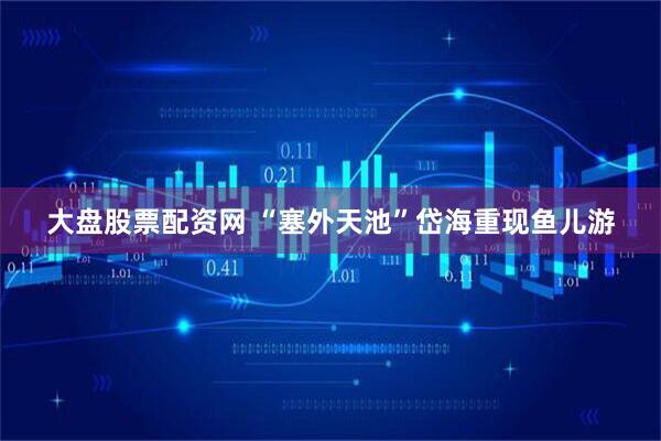 大盘股票配资网 “塞外天池”岱海重现鱼儿游