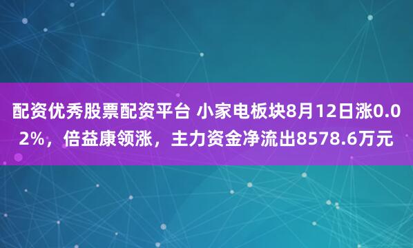 配资优秀股票配资平台 小家电板块8月12日涨0.02%，倍益康领涨，主力资金净流出8578.6万元