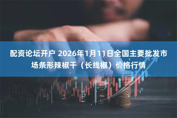 配资论坛开户 2026年1月11日全国主要批发市场条形辣椒干（长线椒）价格行情