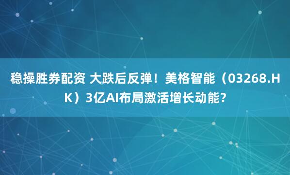 稳操胜券配资 大跌后反弹！美格智能（03268.HK）3亿AI布局激活增长动能？